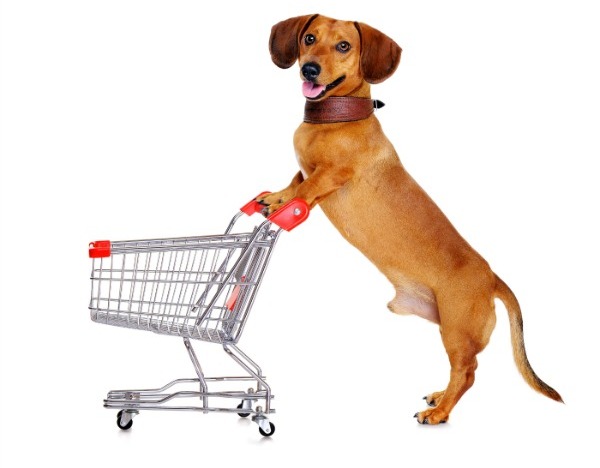 Top Dog Friendly Stores In The US