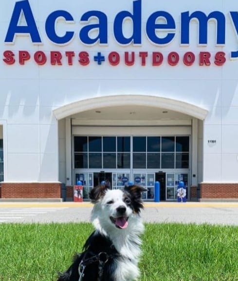 Does Academy Sports + Outdoors Allow Dogs Inside? Is Academy Sports + Outdoors Pet Friendly?