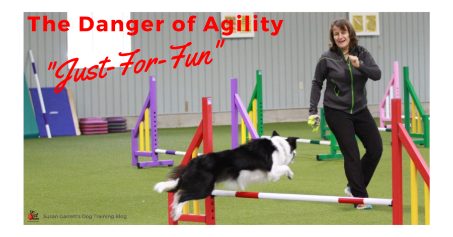 The Danger of Agility “Just-For-Fun”