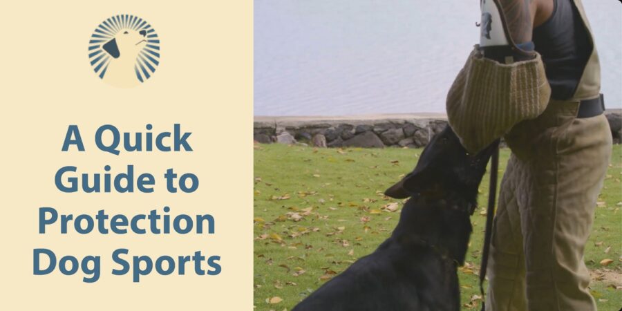 A Quick Guide to Protection Dog Sports