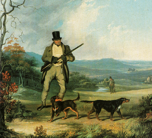 The Evolution of the Sporting Dog