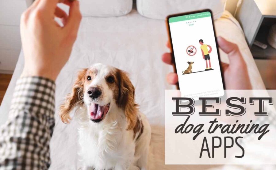 7 Best Dog Training Apps For iPhone & Android