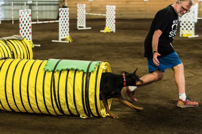 Eat My Dust: 25 Dogs Give the Agility Trials Their All