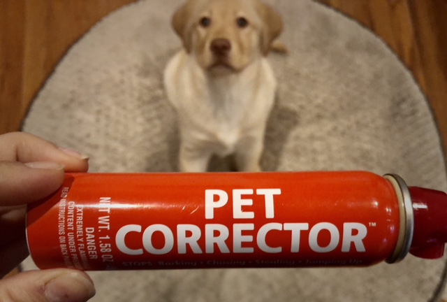 Unfavorable Odds: My Review of the Pet Corrector