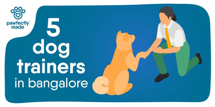 5 Dog Trainers in Bangalore