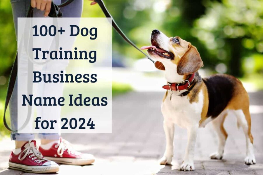 100+ Dog Training Business Name Ideas for 2024