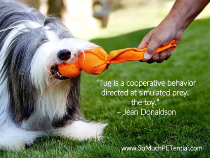 Tugging As A Dog Training Tool