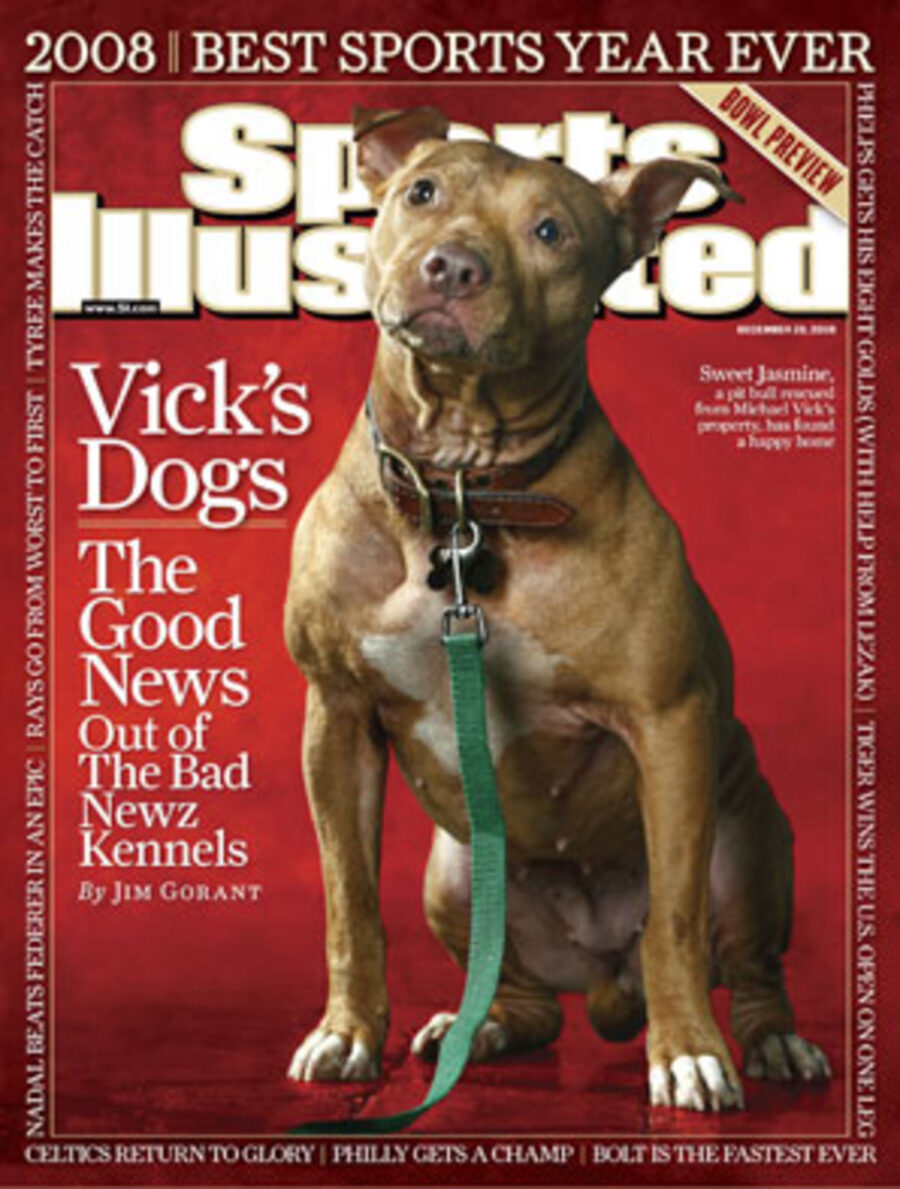 What happened to Michael Vick's dogs ...